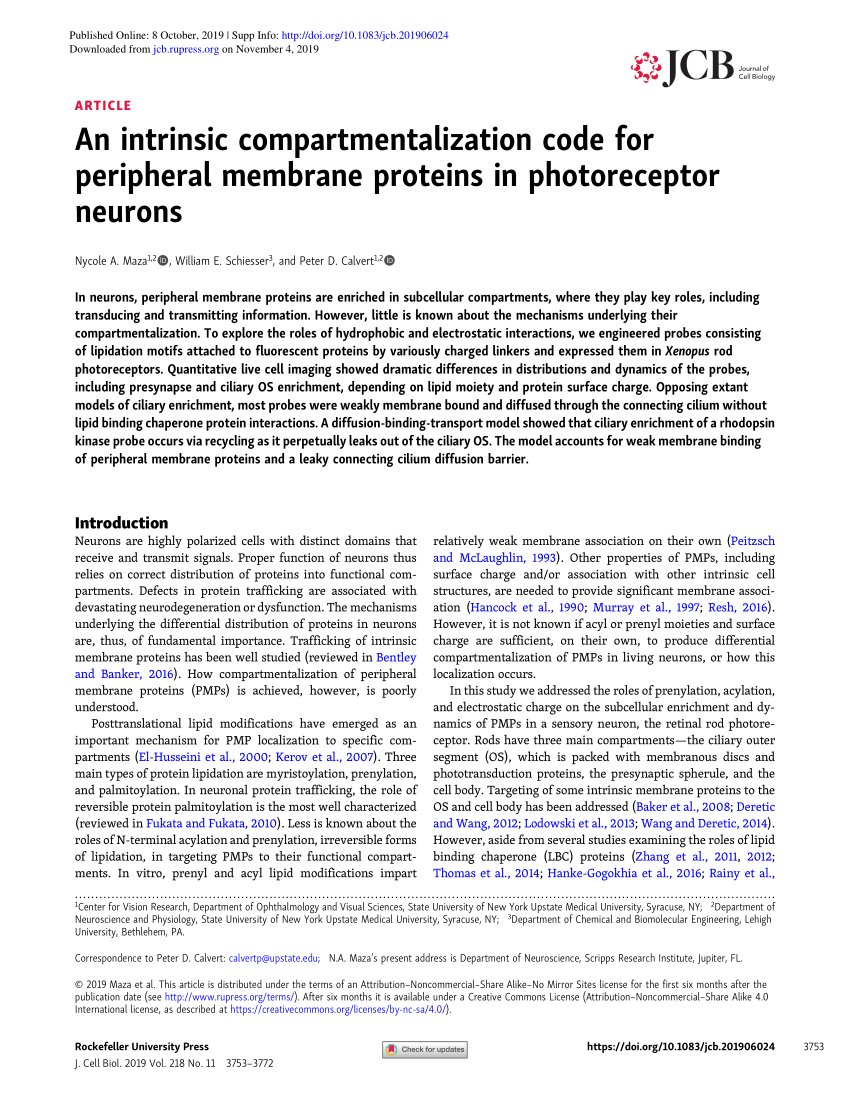 Pdf An Intrinsic Compartmentalization Code For Peripheral Membrane Proteins In Photoreceptor Neurons