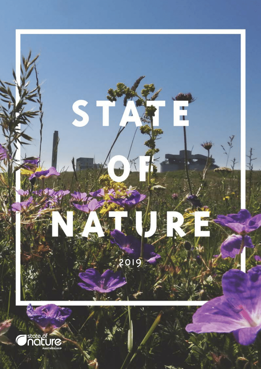Ødelæggelse ugunstige Skuffelse PDF) The State of Nature 2019