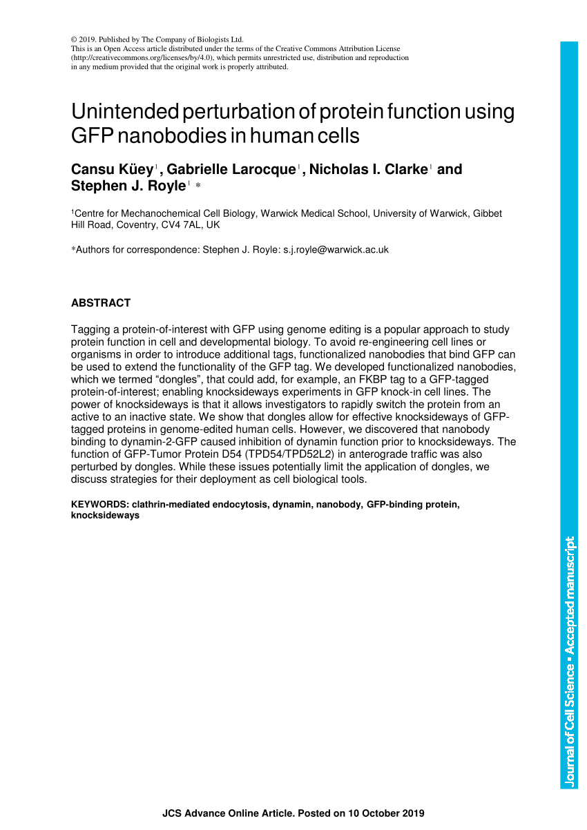 PDF) Unintended perturbation of protein function using GFP ...
