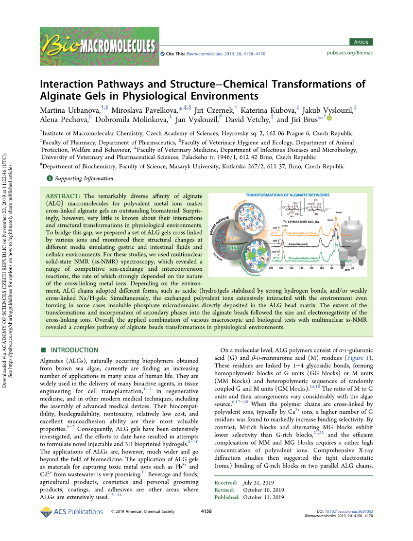 Interaction Pathways and Structure–Chemical Transformations of