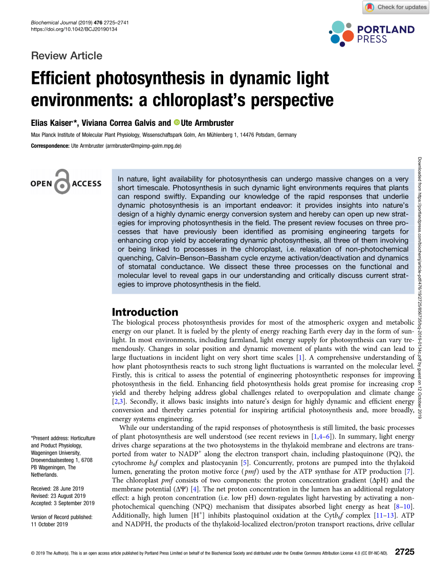 PDF) Efficient photosynthesis in dynamic light environments: A 
