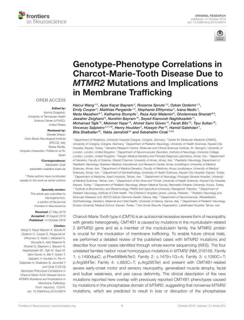 PDF) Genotype-Phenotype Correlations in Charcot-Marie-Tooth ...