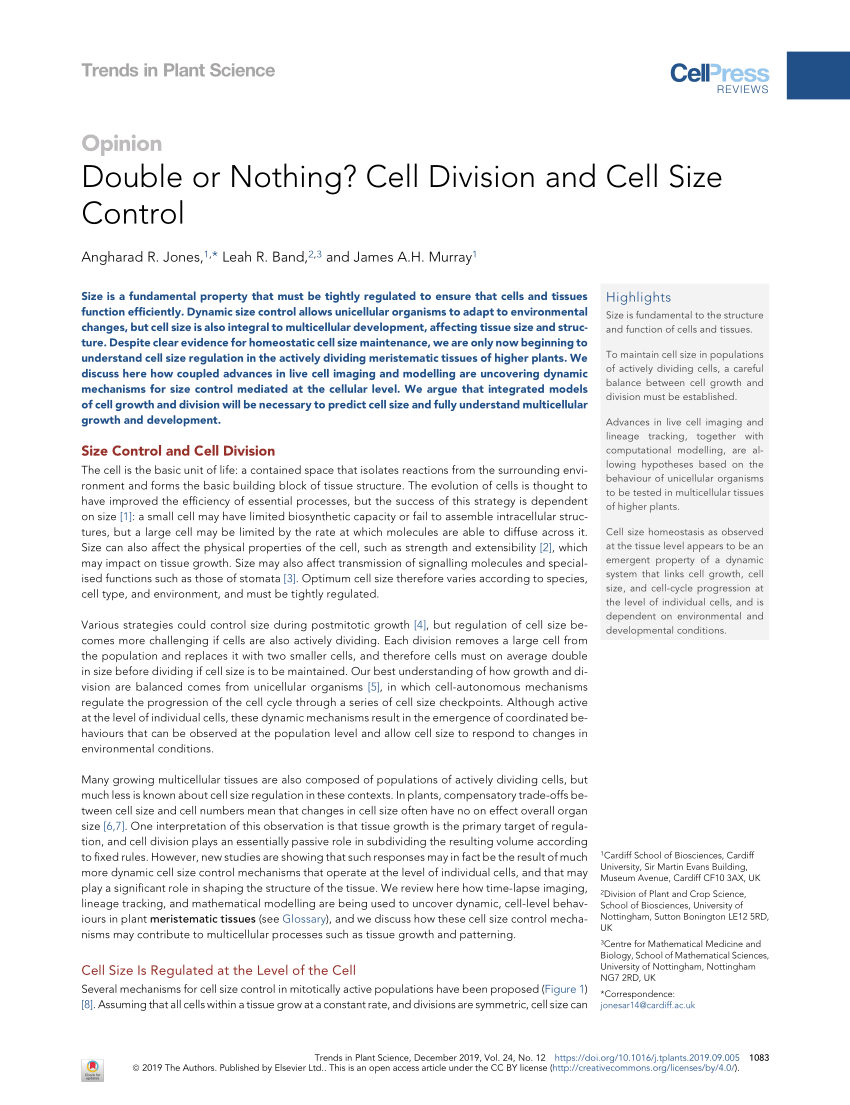 Pdf Double Or Nothing Cell Division And Cell Size Control