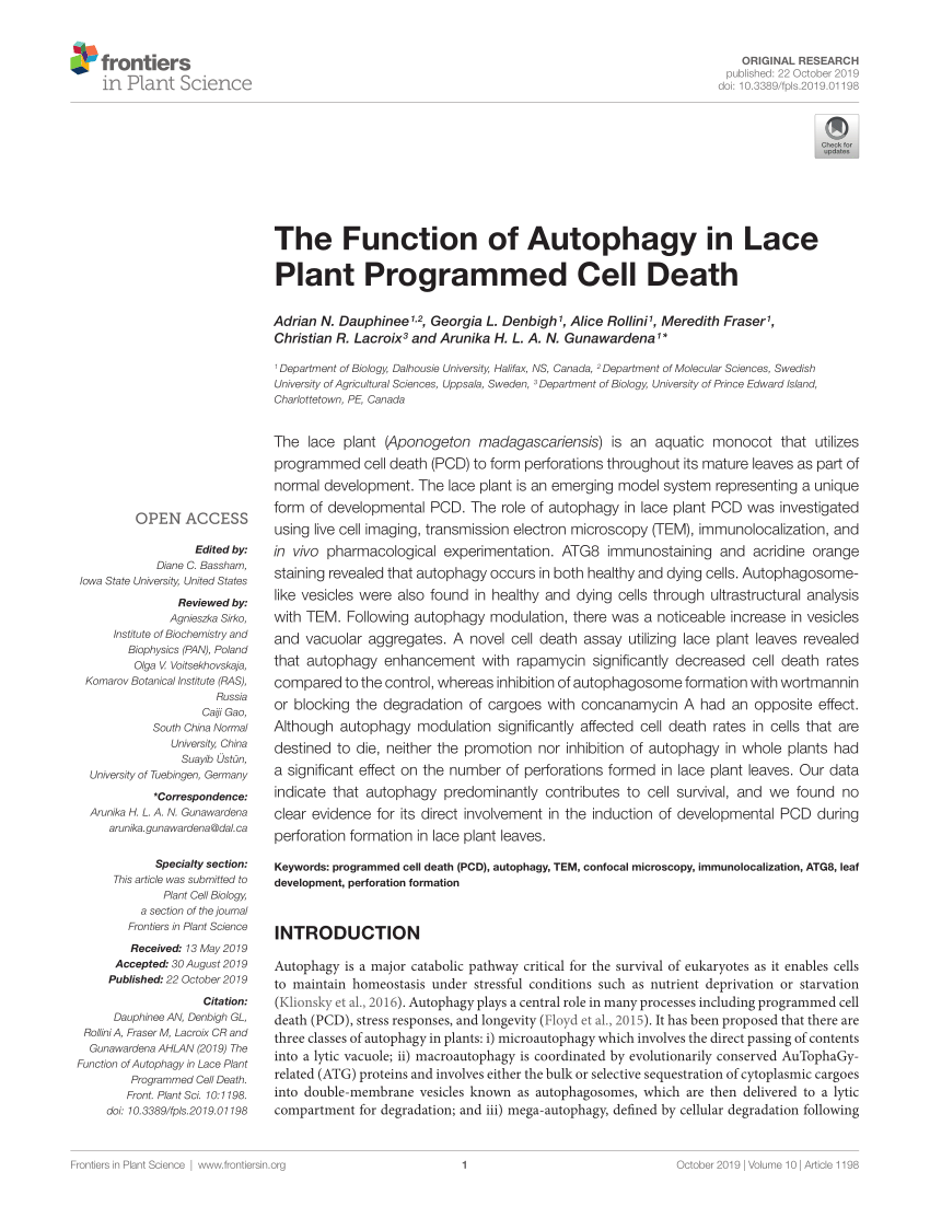 Pdf The Function Of Autophagy In Lace Plant Programmed Cell Death