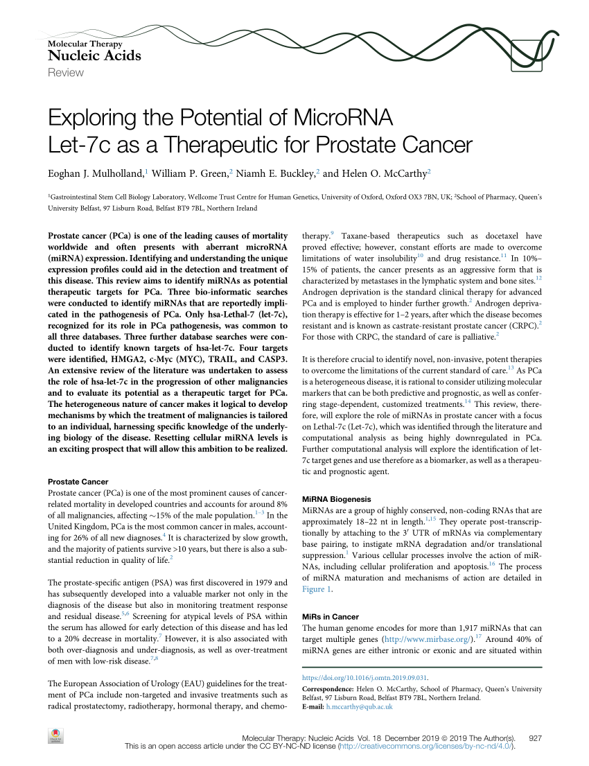 Pdf Exploring The Potential Of Microrna Let 7c As A Therapeutic For Prostate Cancer