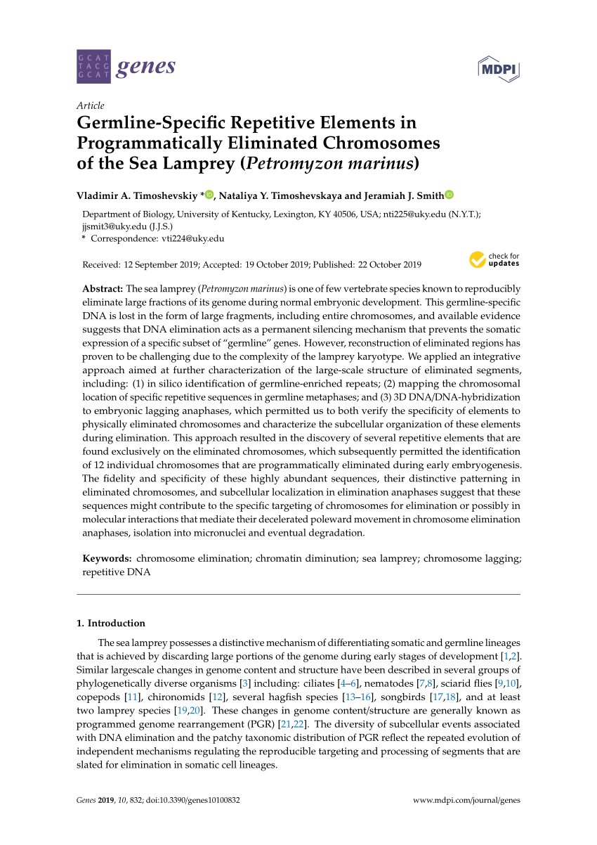 Pdf Germline Specific Repetitive Elements In Programmatically Eliminated Chromosomes Of The Sea Lamprey Petromyzon Marinus