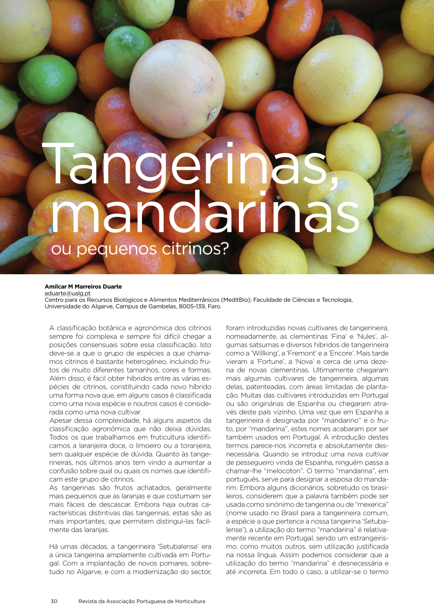 Tangerina e mexerica não são a mesma fruta! Entenda a família dos citros