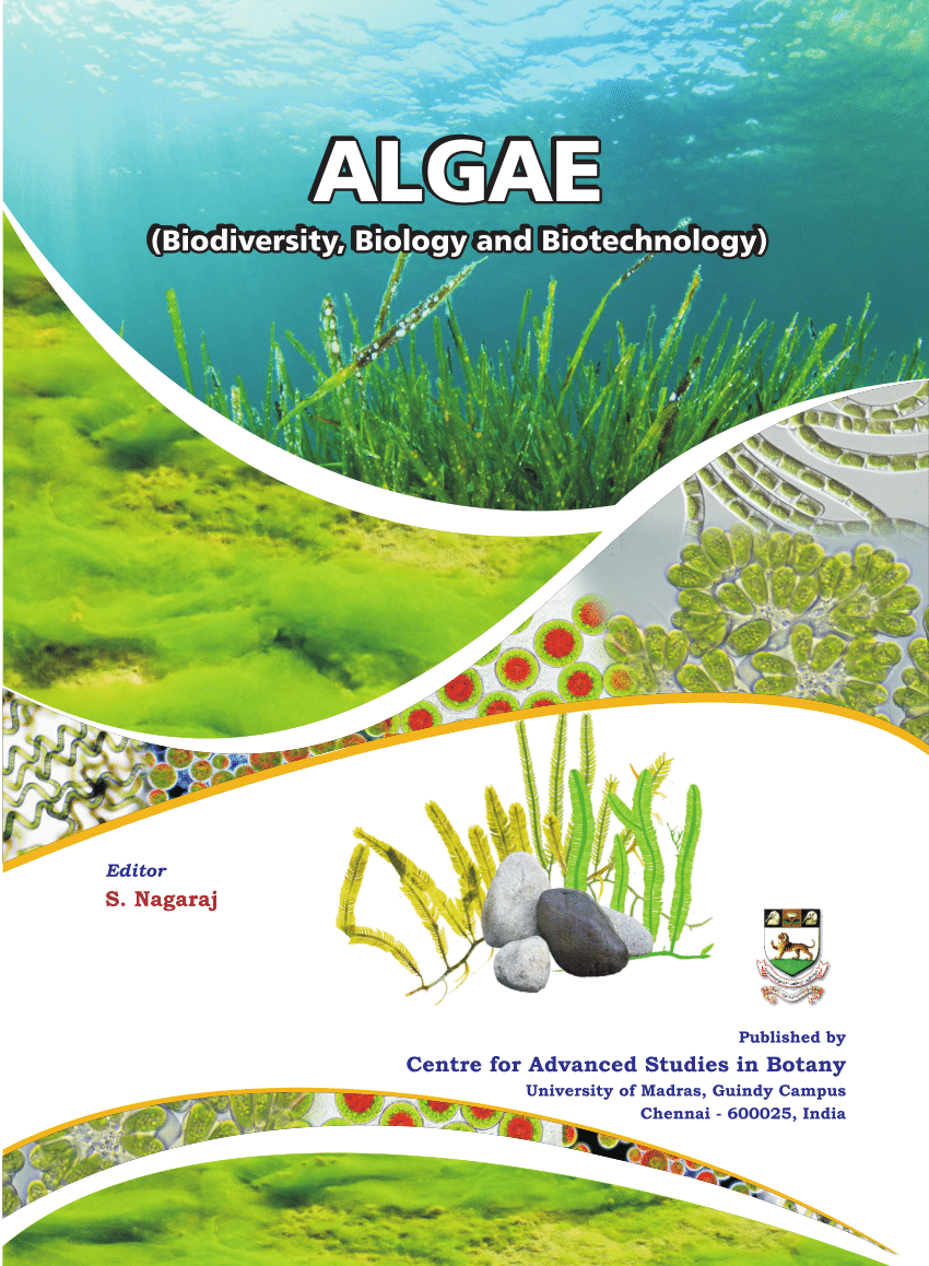 algae by vashishta