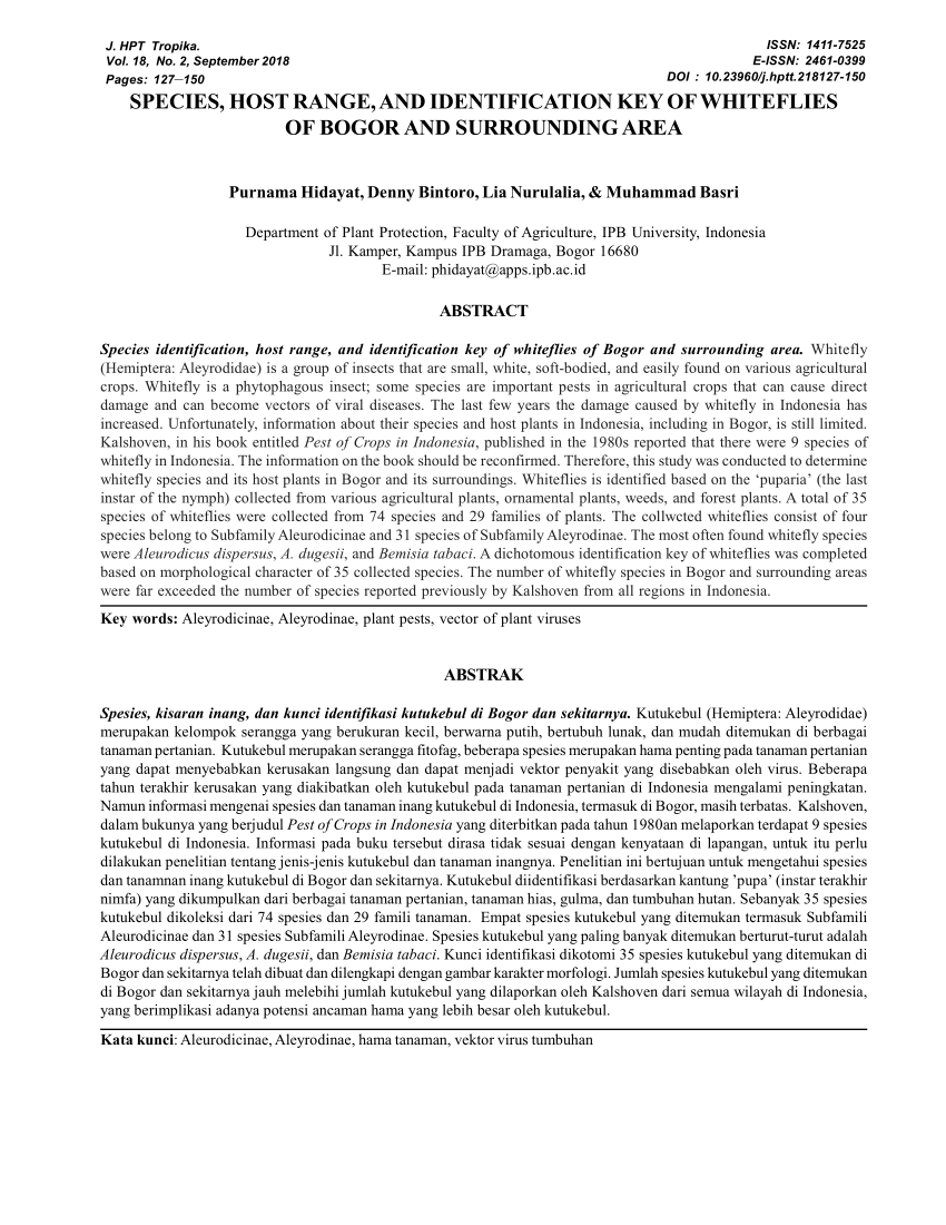 PDF) SPECIES, HOST RANGE, AND IDENTIFICATION KEY OF WHITEFLIES OF 