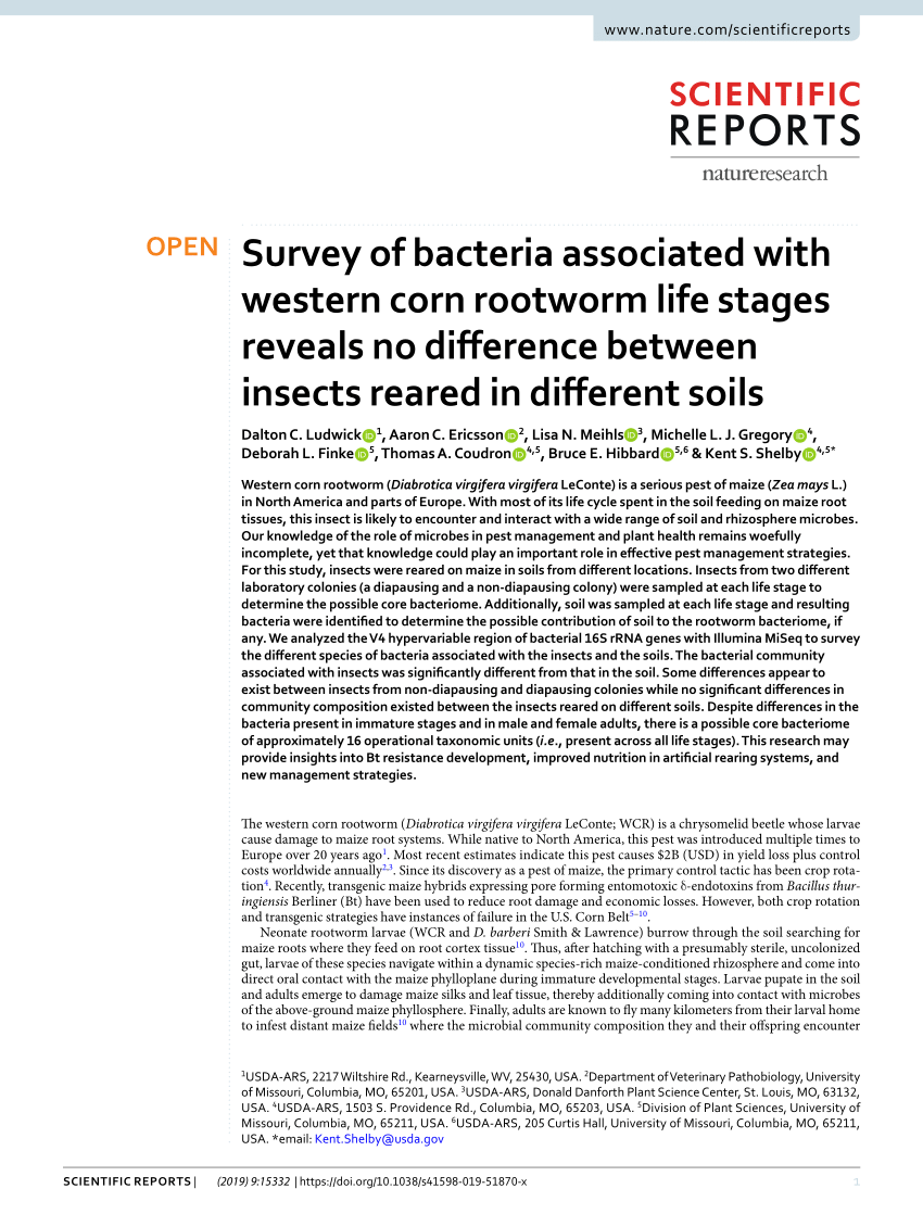 Pdf Survey Of Bacteria Associated With Western Corn Rootworm Life Stages Reveals No Difference Between Insects Reared In Different Soils
