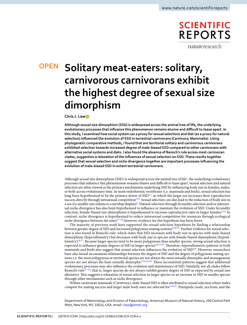 Pdf Solitary Meat Eaters Solitary Carnivorous Carnivorans Exhibit The Highest Degree Of 3516