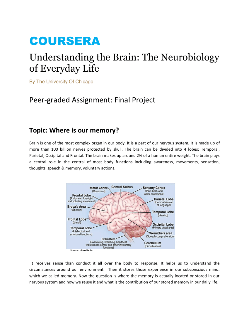 neurobiology research papers
