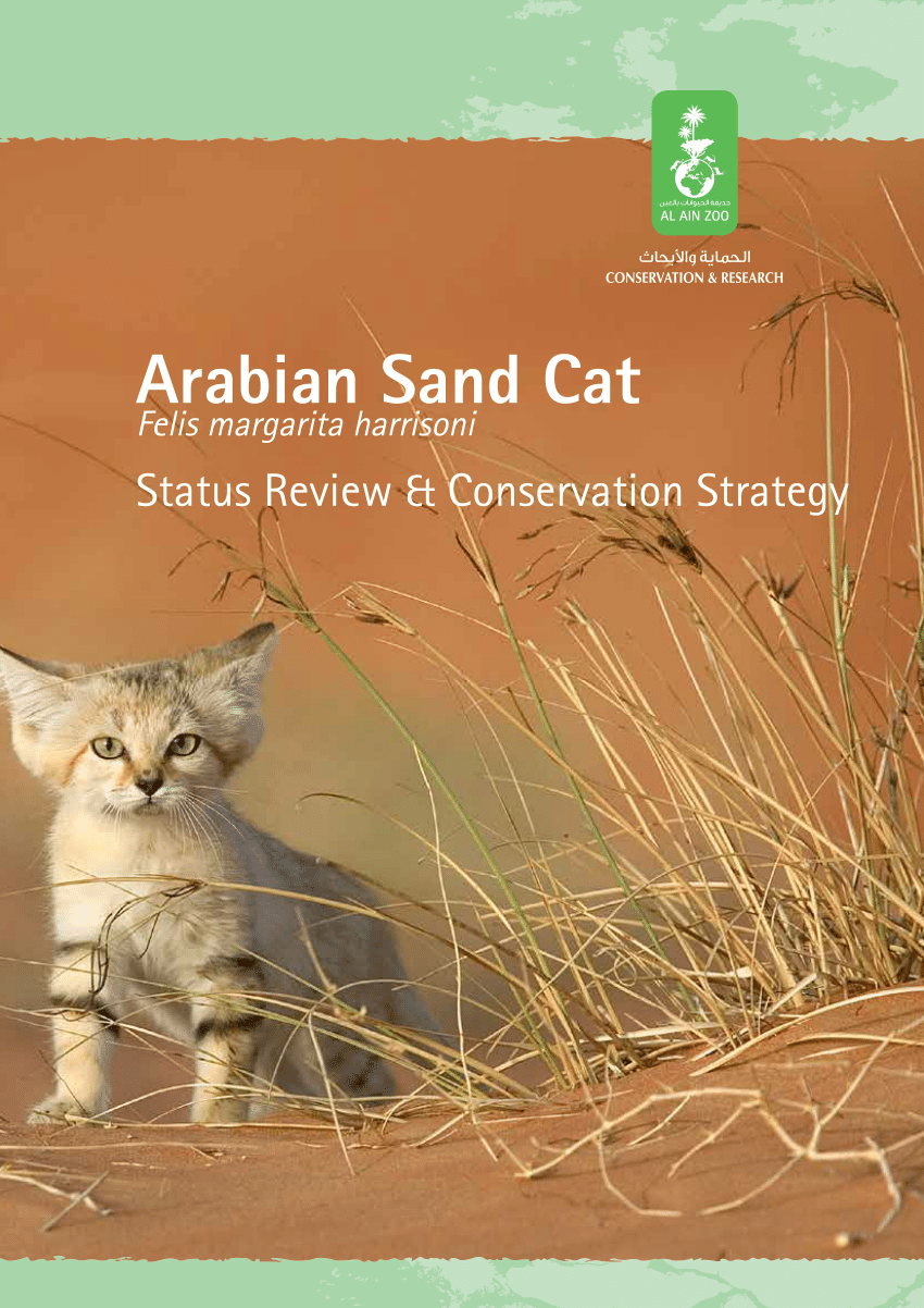 Pdf Arabian Sand Cat Status Review And Conservation Strategy 2014