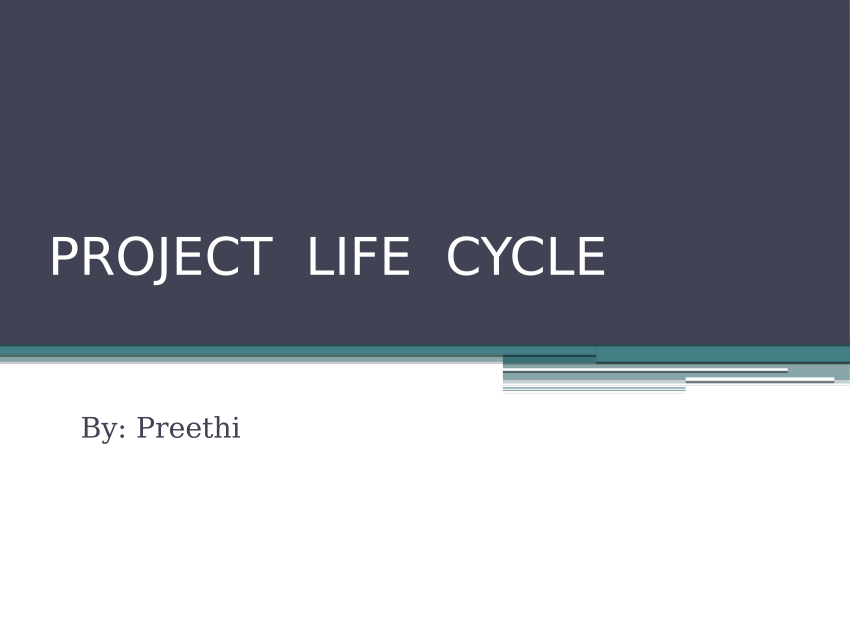 (PDF) PROJECT LIFE CYCLE