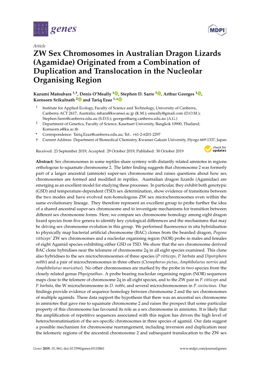 Pdf Zw Sex Chromosomes In Australian Dragon Lizards Agamidae Originated From A Combination 1978