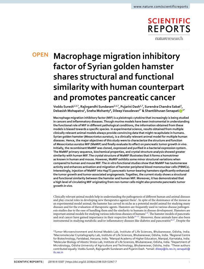 Frontiers  Syrian hamster as an ideal animal model for evaluation of  cancer immunotherapy