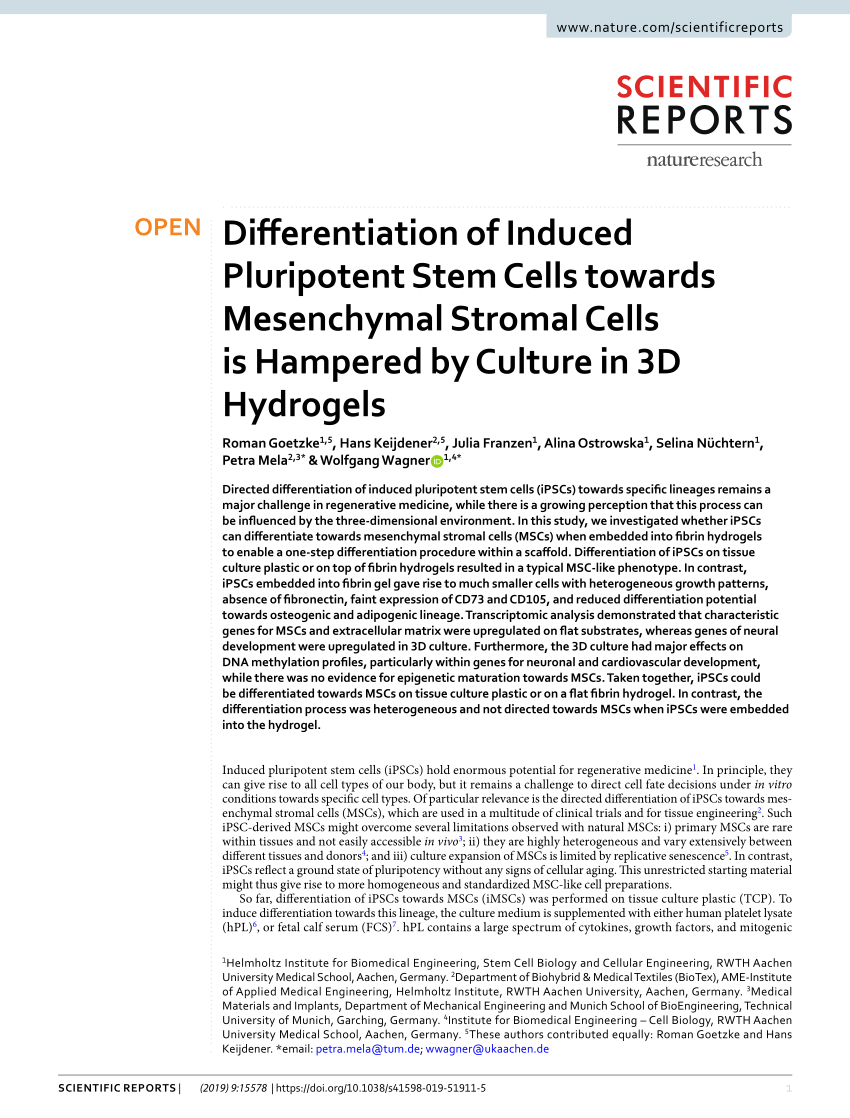 (PDF) Differentiation of Induced Pluripotent Stem Cells towards Mesenchymal Stromal Cells is ...