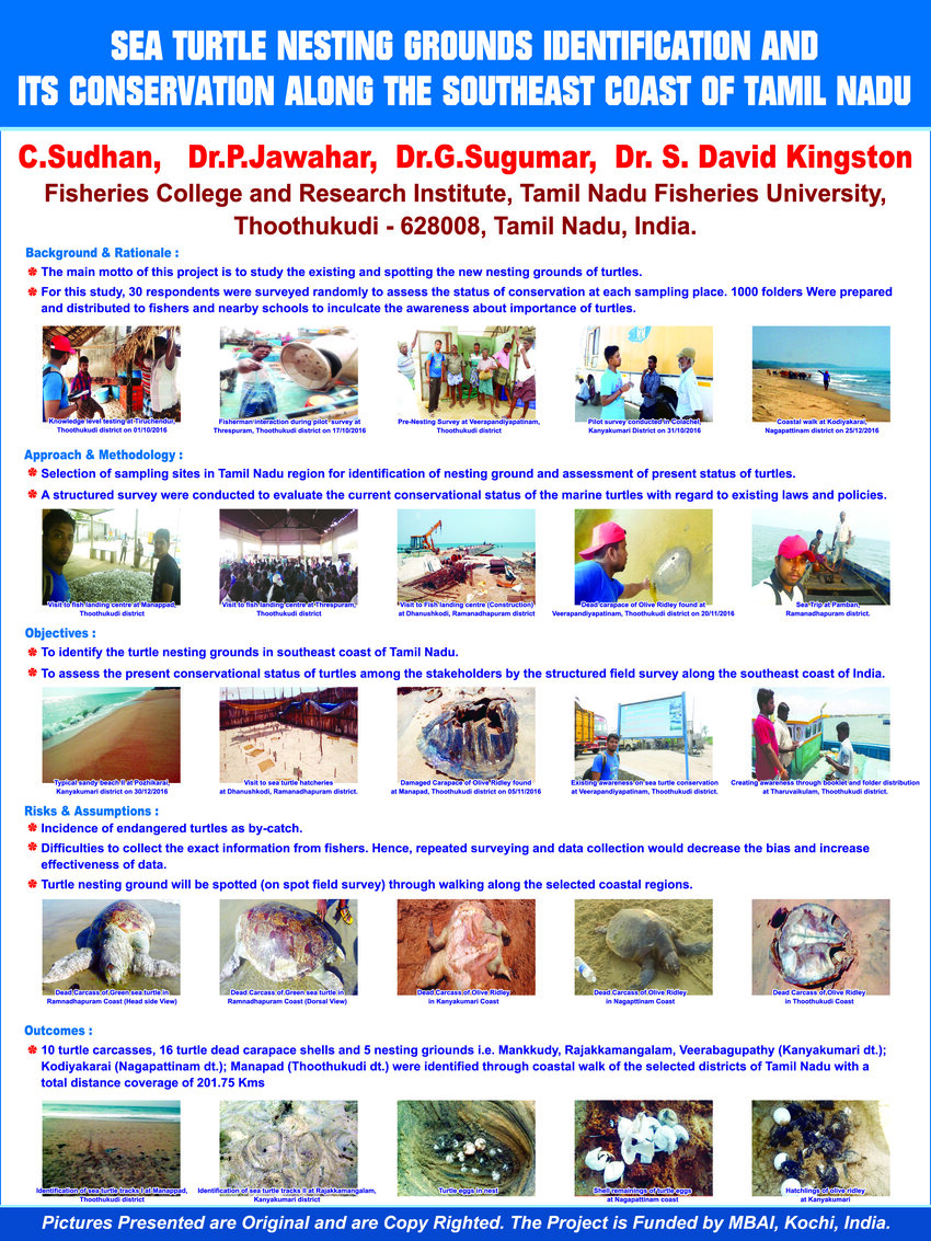 Pdf Sea Turtle Nesting Grounds Identification And Its Conservation Along The Southeast Coast 