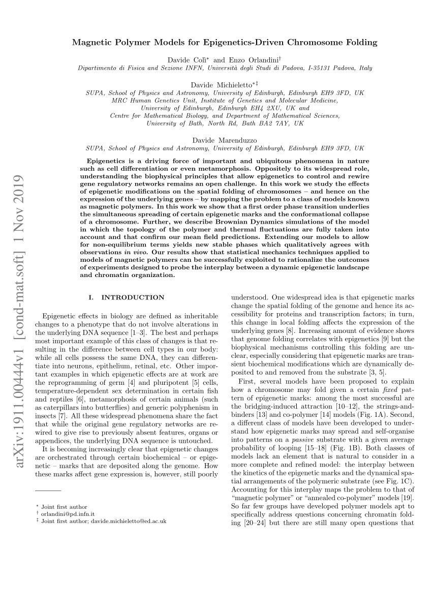 Pdf Magnetic Polymer Models For Epigenetics Driven Chromosome Folding