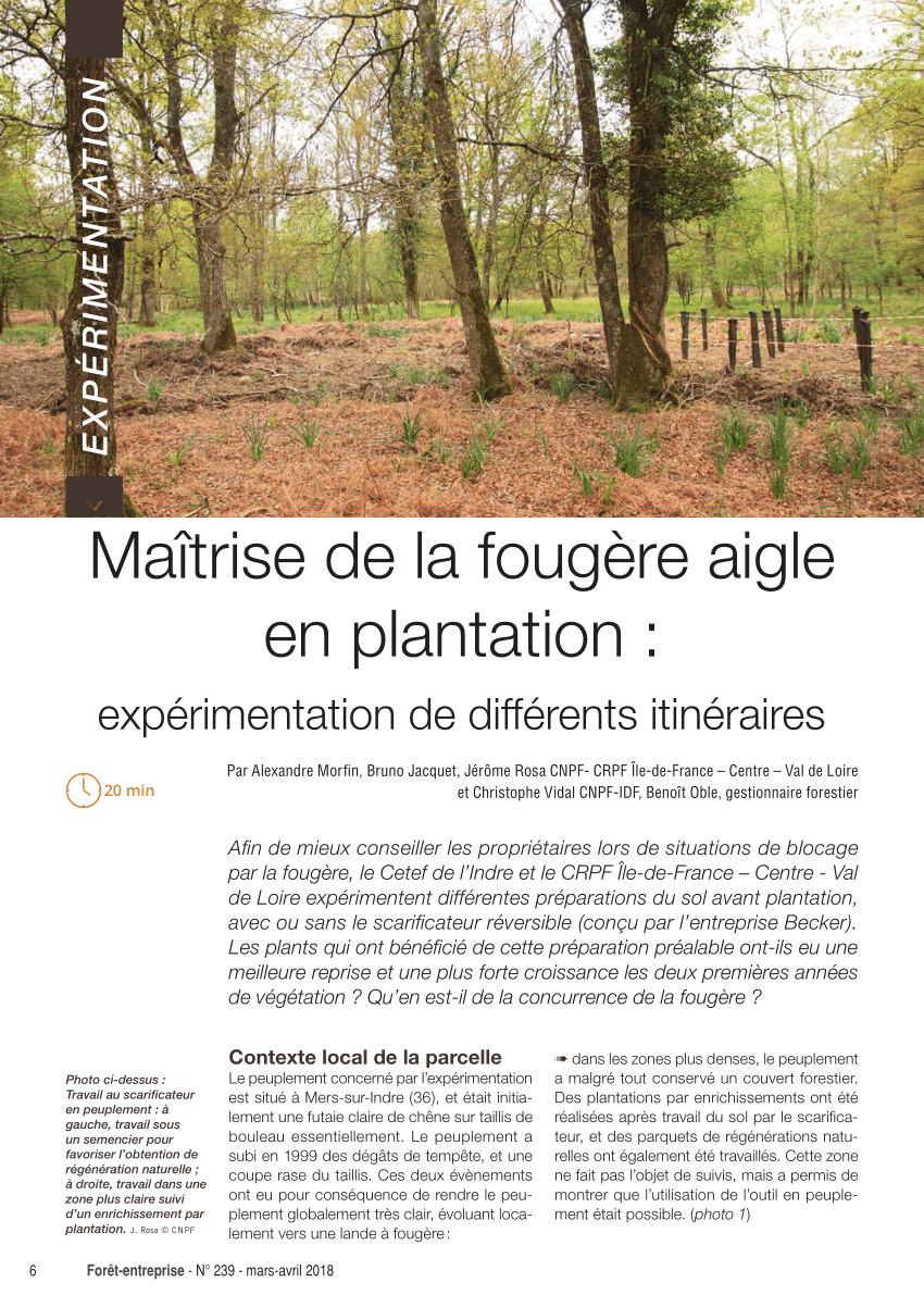 Pdf Maitrise De La Fougere Aigle En Plantation Experimentation De Differents Itineraires