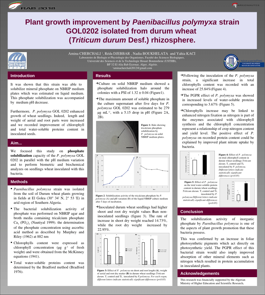 PDF) Plant growth improvement by Paenibacillus polymyxa strain ...