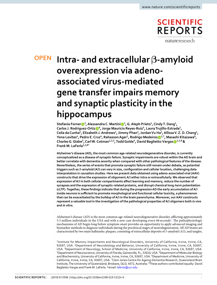 Pdf Intra And Extracellular B Amyloid Overexpression Via Adeno Associated Virus Mediated Gene Transfer Impairs Memory And Synaptic Plasticity In The Hippocampus
