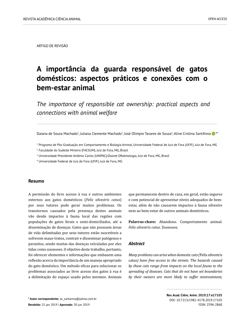 Esporotricose em gatos tem cura e posse responsável é chave para prevenção