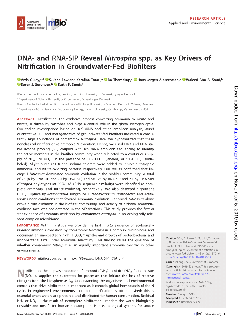 PDF) DNA- and RNA-SIP Reveal Nitrospira spp. as Key Drivers of 