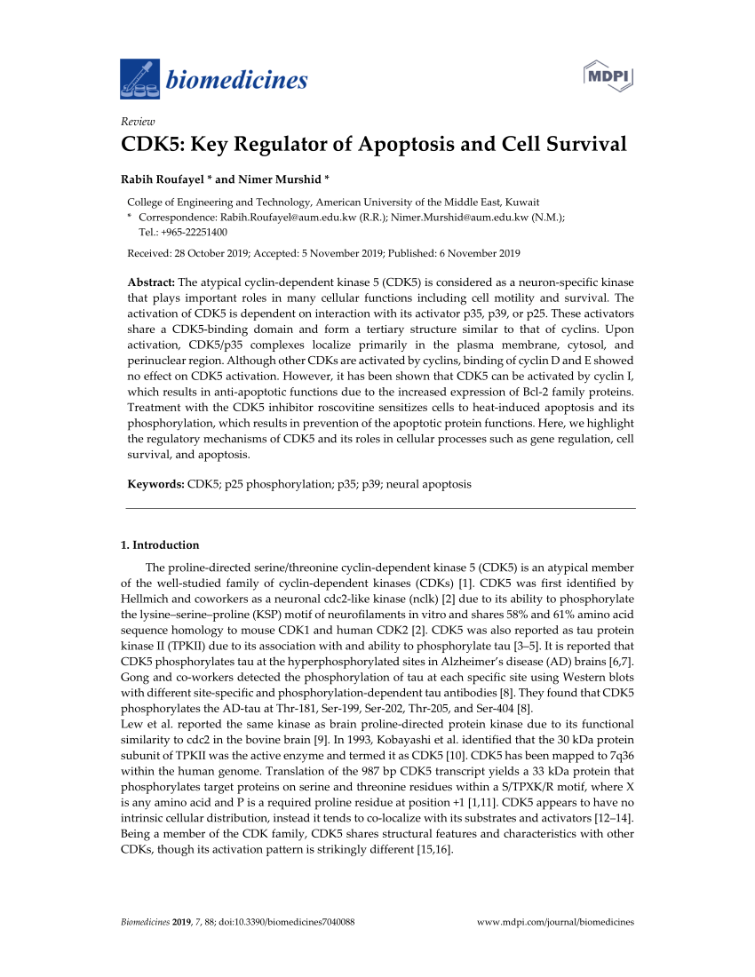 Pdf Cdk5 Key Regulator Of Apoptosis And Cell Survival