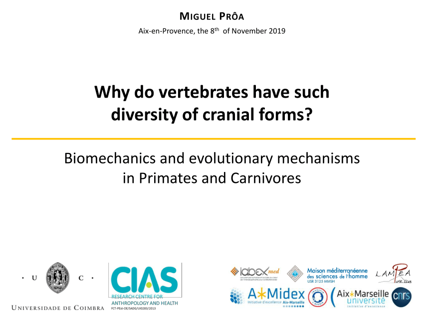 (PDF) Why do vertebrates have such diversity of cranial forms