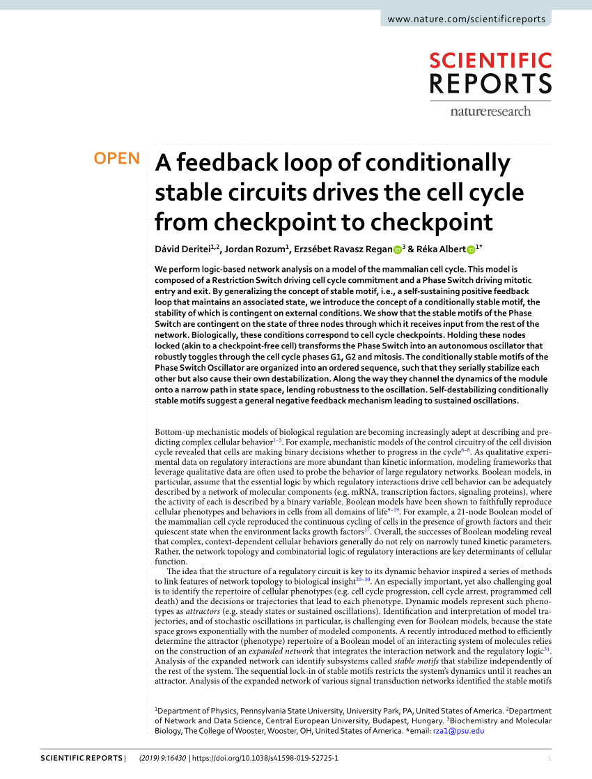 PDF) A feedback loop of conditionally stable circuits drives the ...
