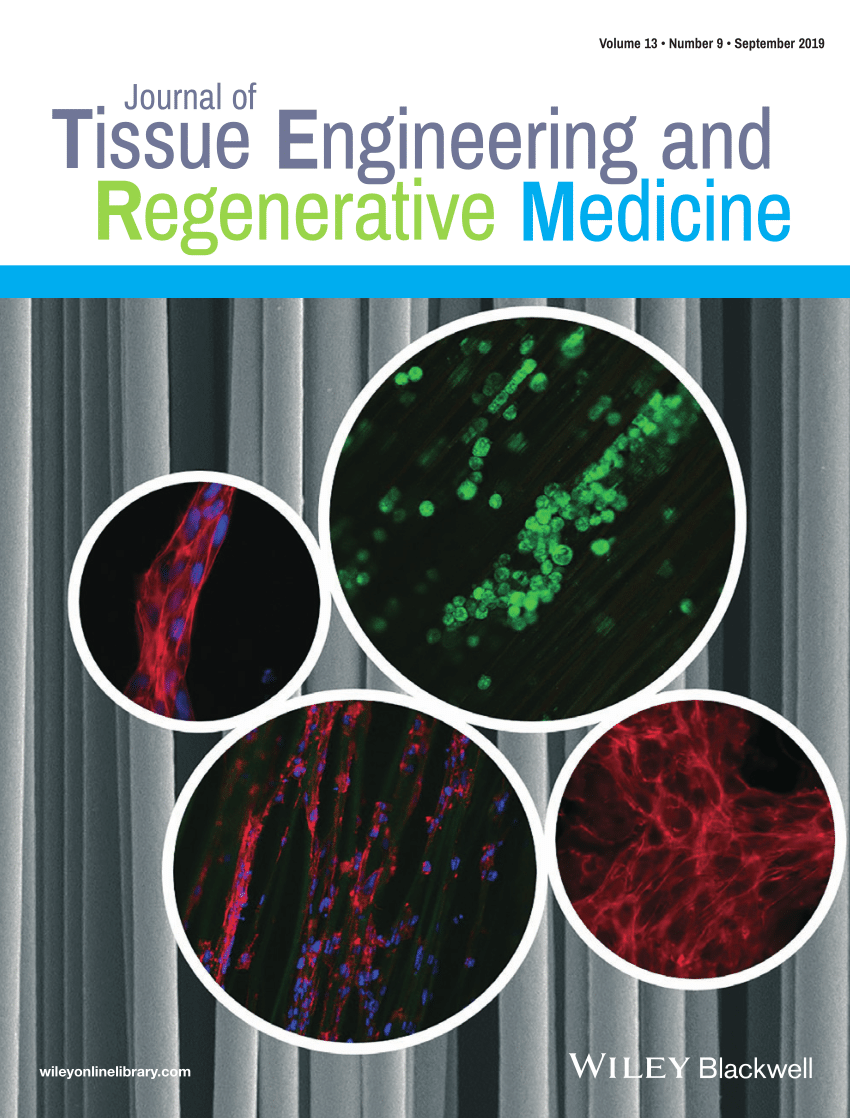 phd in tissue engineering and regenerative medicine