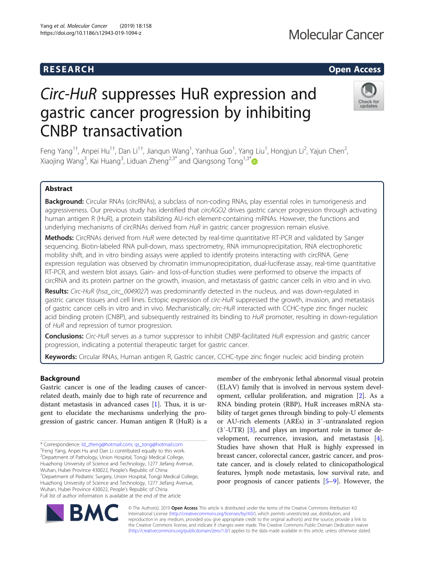 (PDF) Circ-HuR suppresses HuR expression and gastric 
