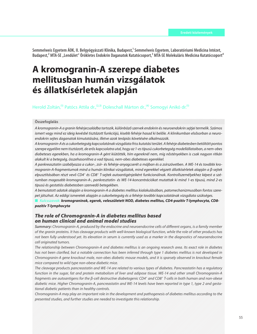 cukor cukorbetegség klinika patogenezis diagnosztikai kezelés)