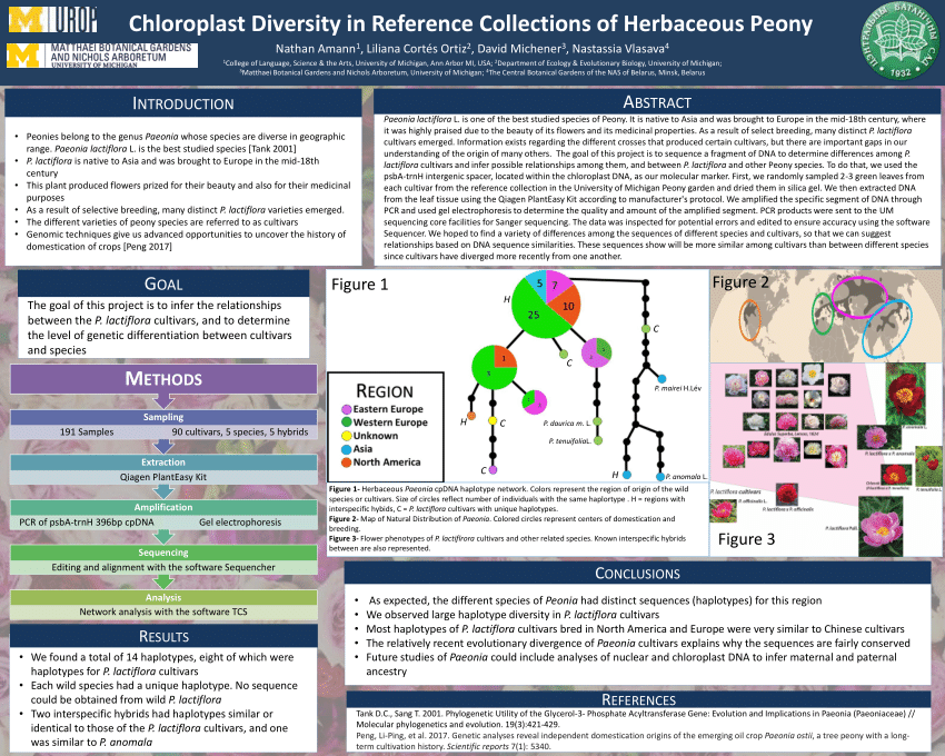 Pdf Chloroplast Diversity In Reference Collections Of Herbaceous