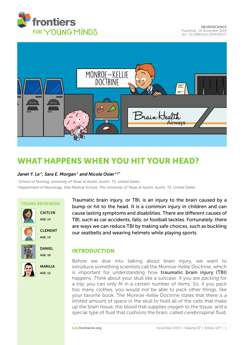 pdf-what-happens-when-you-hit-your-head