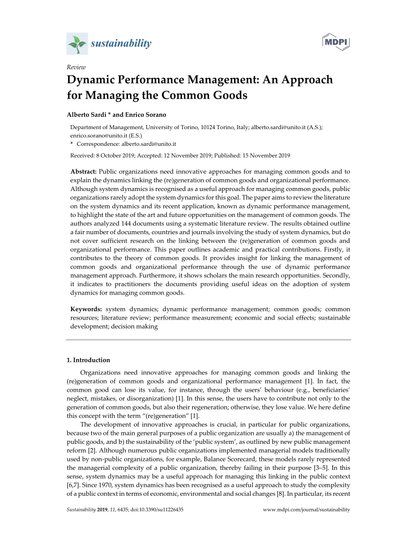 Dynamic Performance Management (System Dynamics for Performa