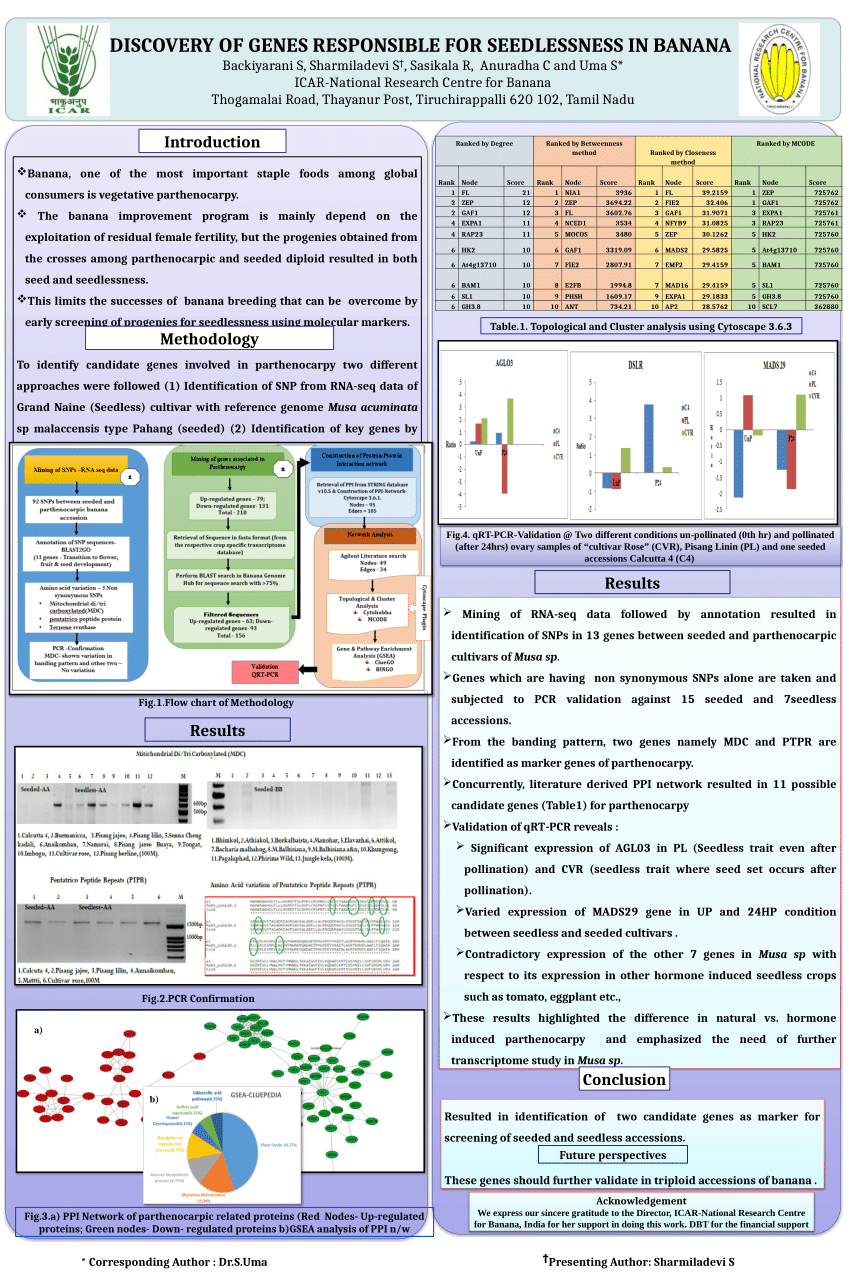 (PDF) PARTHENOCARPY PPI- POSTER