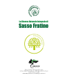 Preview image for La Riserva Naturale Integrale di Sasso Fratino a cura di Alessandro Bottacci e Paola Ciampelli