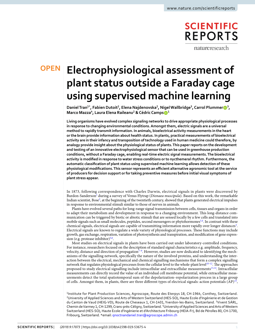 Faraday Cage - MagLab