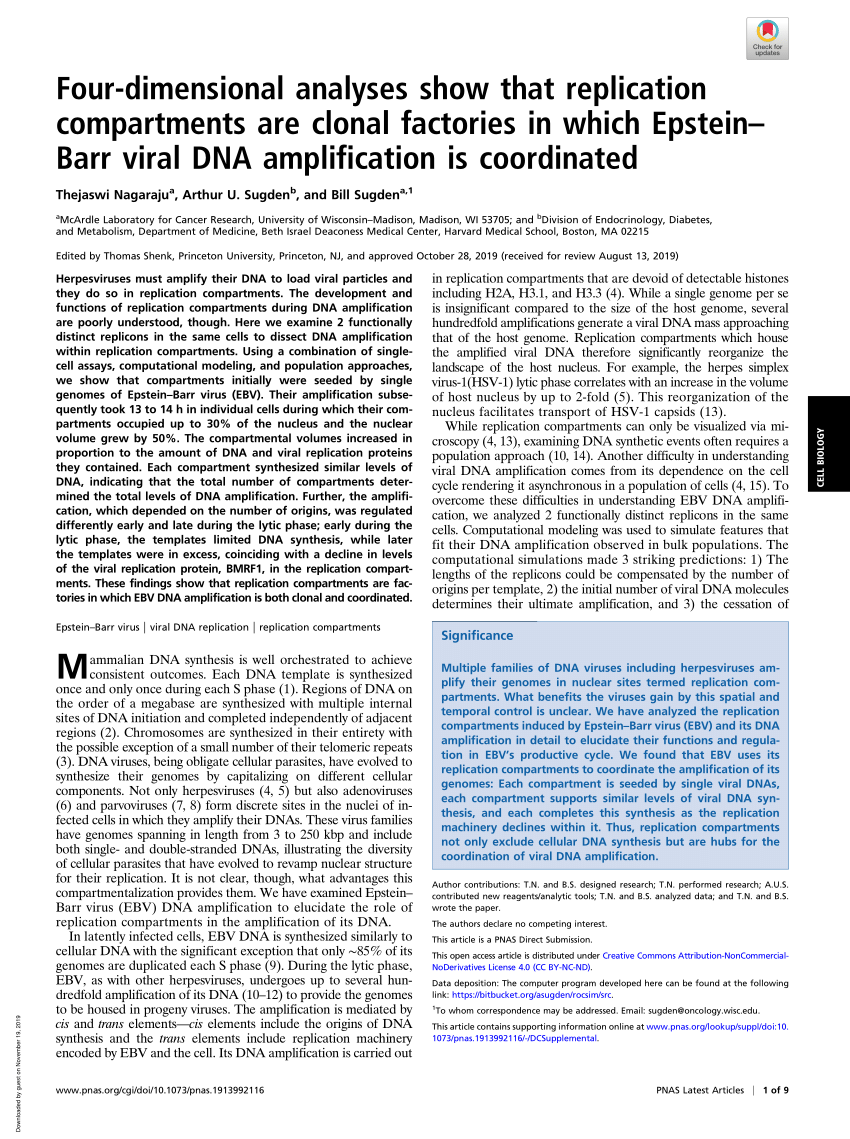 Pdf Four Dimensional Analyses Show That Replication Compartments Are Clonal Factories In Which