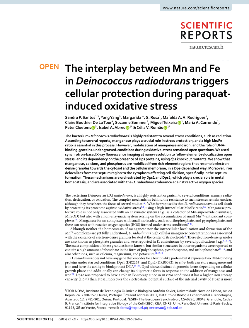 The interplay between Mn and Fe in Deinococcus radiodurans
