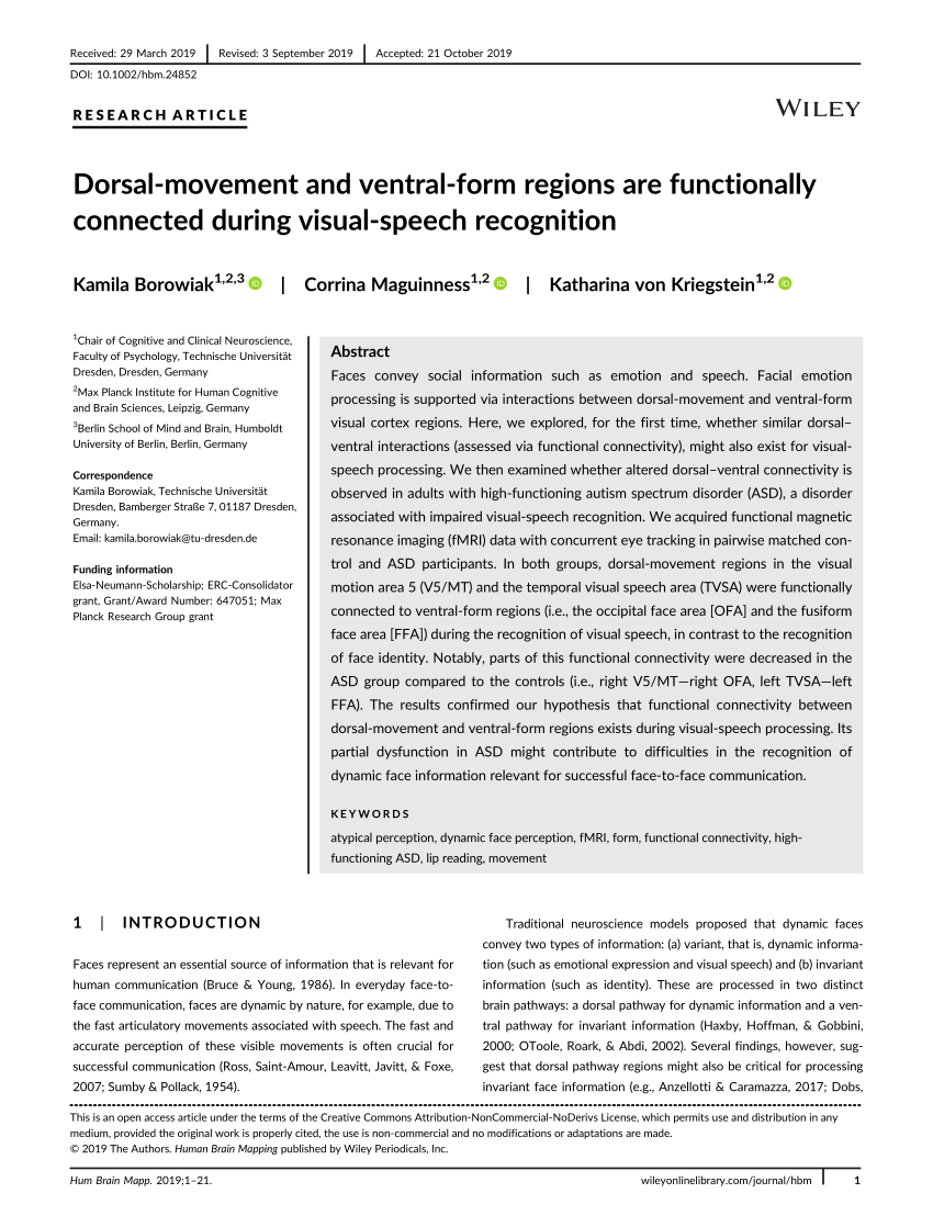 PDF) Dorsal‐movement and ventral‐form regions are functionally ...