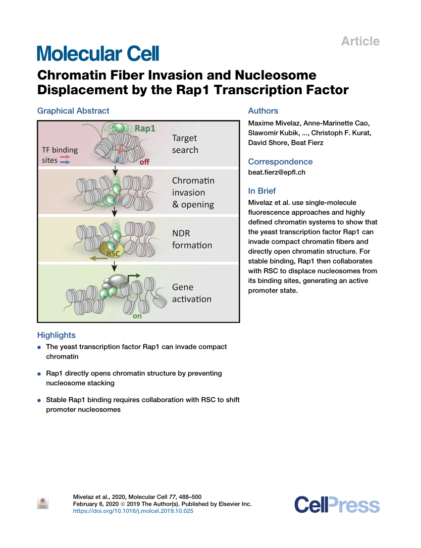 Pdf Chromatin Fiber Invasion And Nucleosome Displacement By The Rap1 Transcription Factor