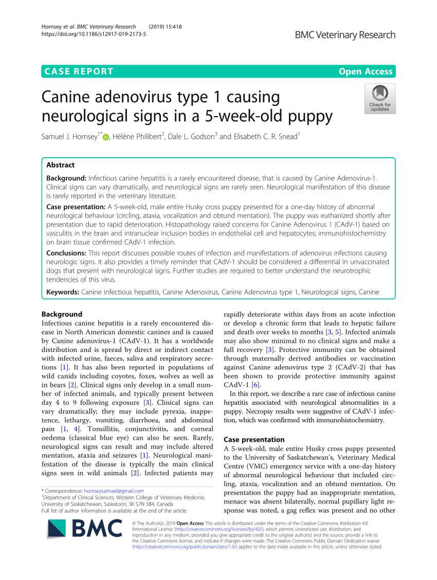 (PDF) Canine adenovirus type 1 causing neurological signs in a 5-week