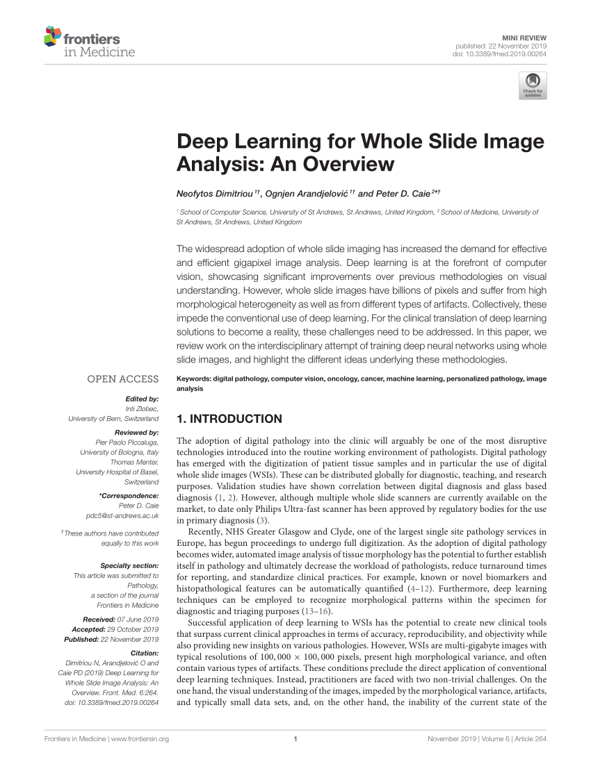 PDF) Deep Learning for Whole Slide Image Analysis: An Overview