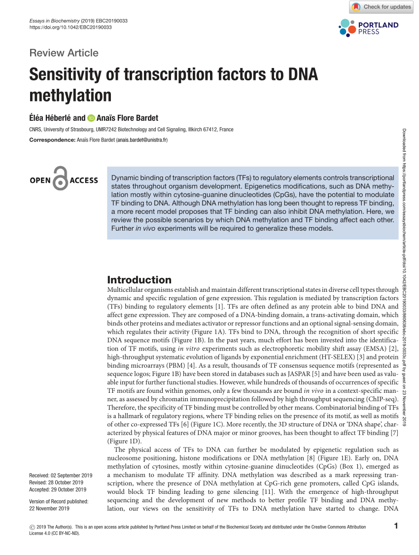 Modeling methyl-sensitive transcription factor motifs with an