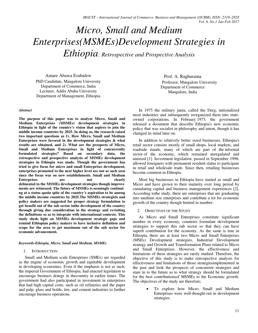 micro small and medium enterprises research paper