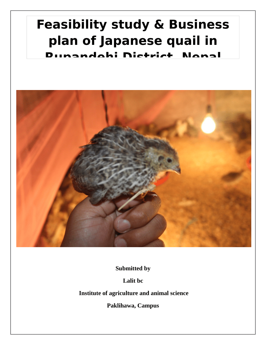 Quail Farming Business Plan