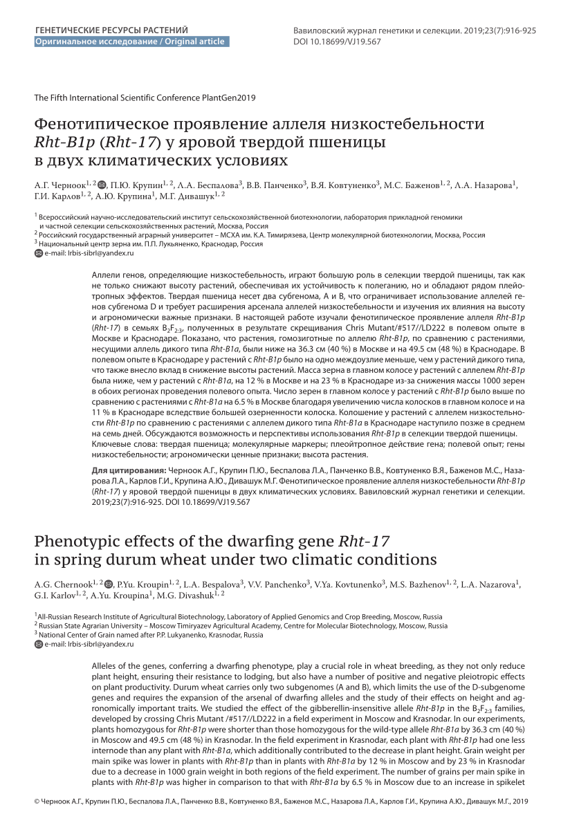 PDF) Phenotypic effects of the dwarfing gene Rht-17 in spring durum wheat  under two climatic conditions